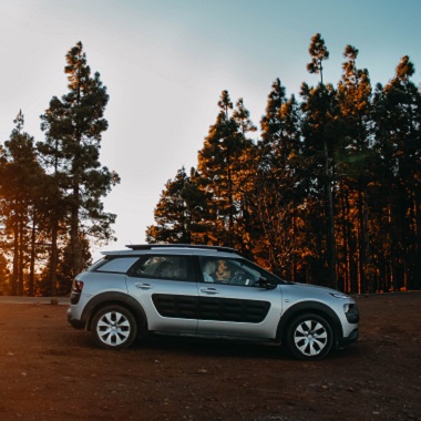 Škola šaha |  Pežo Citroen delovi